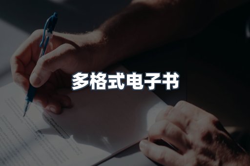 多格式电子书